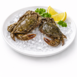 8ab2e7b0-ป8893-4e57-b63e-99e49de05227