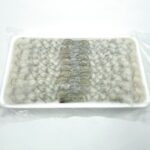 Nobashi 31-40 12-13CM