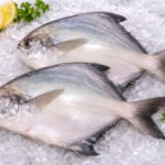 จาระเม็ด